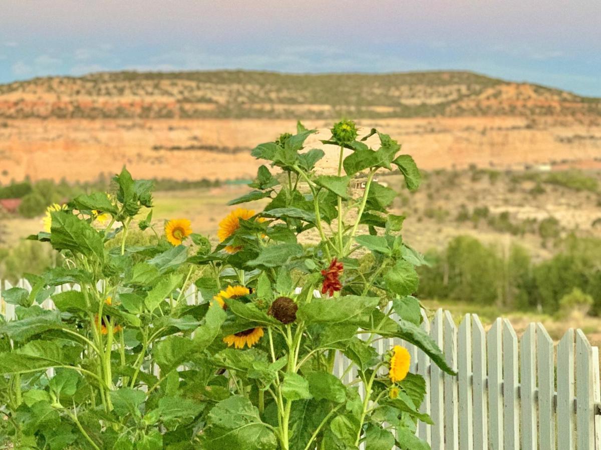 Annie'S Place Bed & Breakfast Boulder Esterno foto