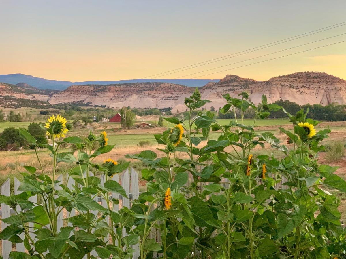 Annie'S Place Bed & Breakfast Boulder Esterno foto